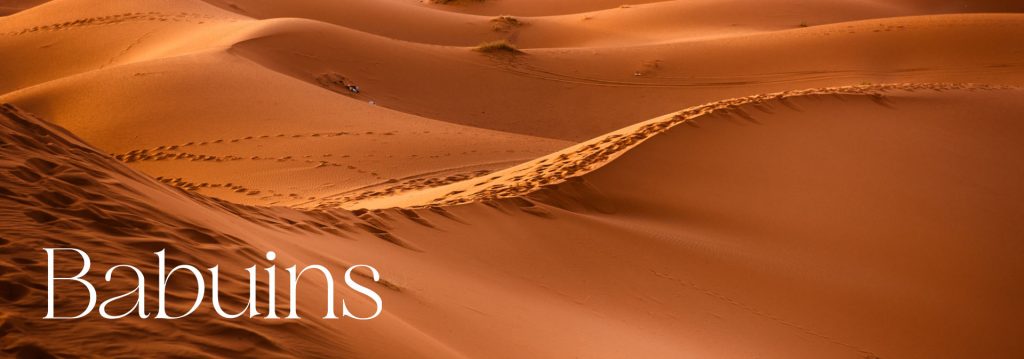 desierto
